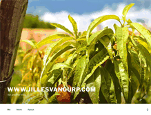 Tablet Screenshot of photos.jillesvangurp.com
