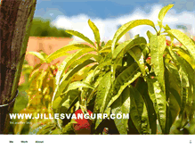 Tablet Screenshot of jillesvangurp.com